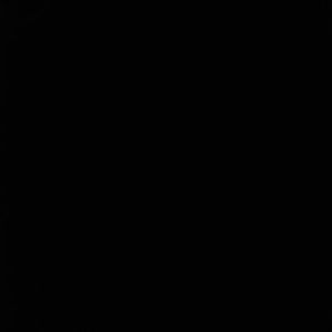 Meet your Posher, Chase